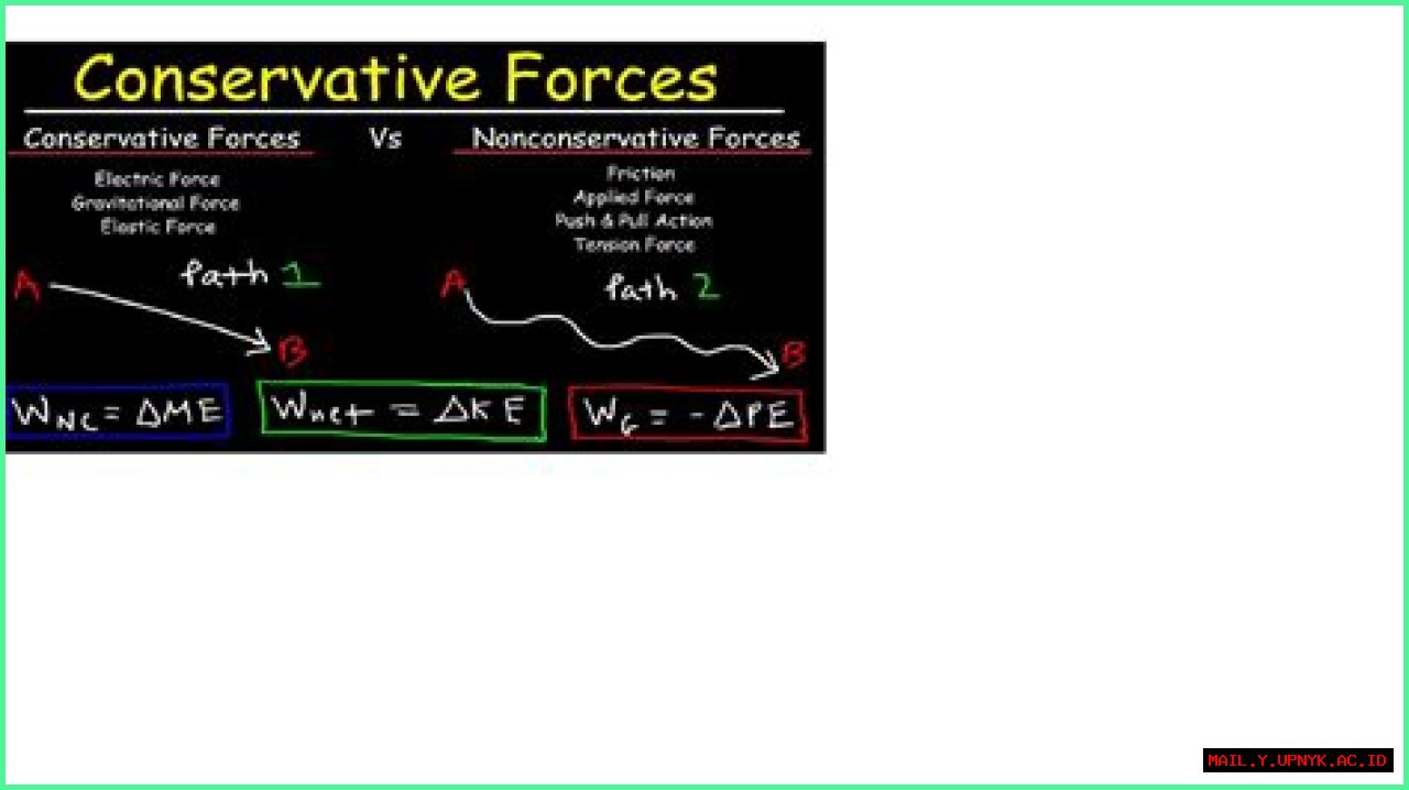 A Conservative Force Shaping American Politics
