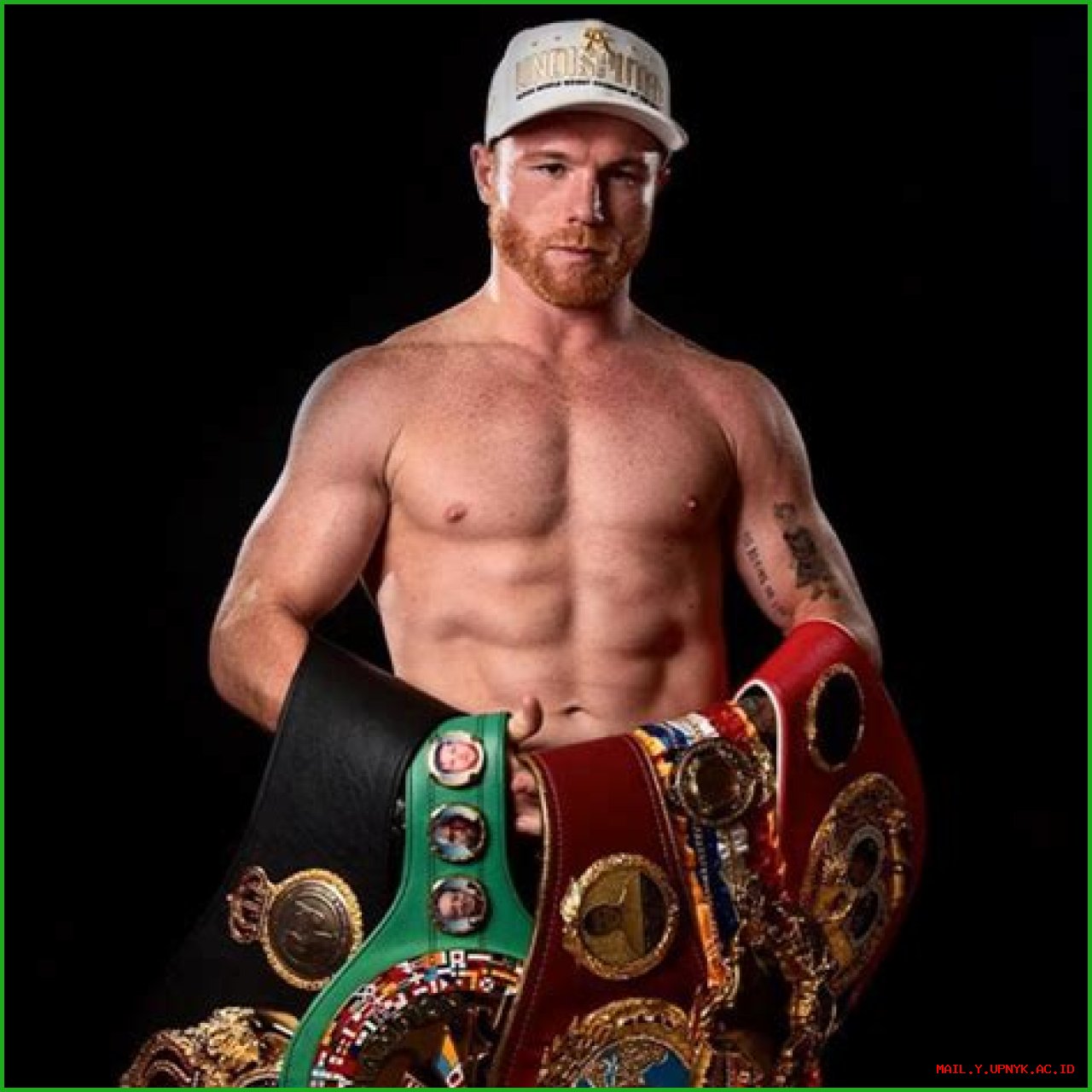 Canelo Alvarez's Impressive Record: A Boxing Legend's Journey