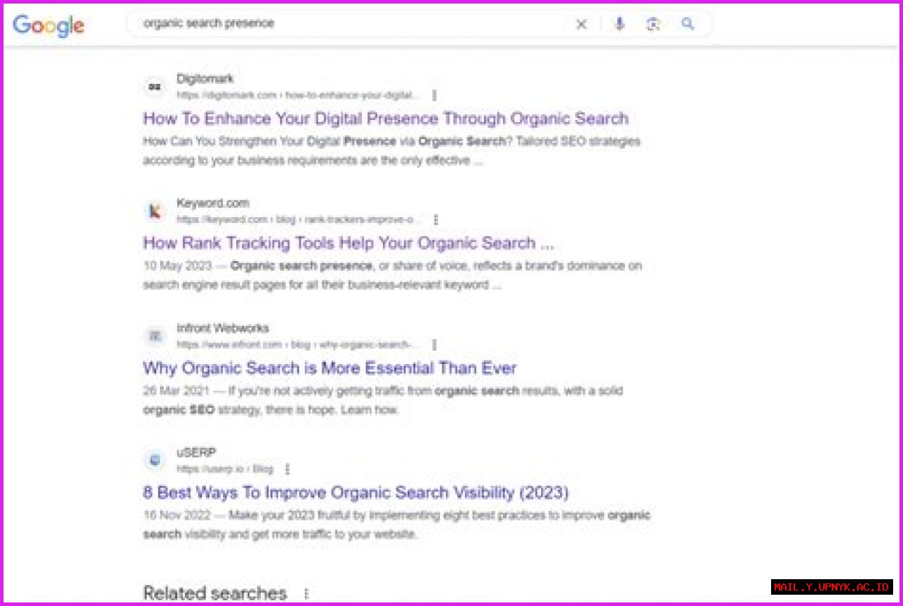 Check Your SERP Position For A Competitive Edge