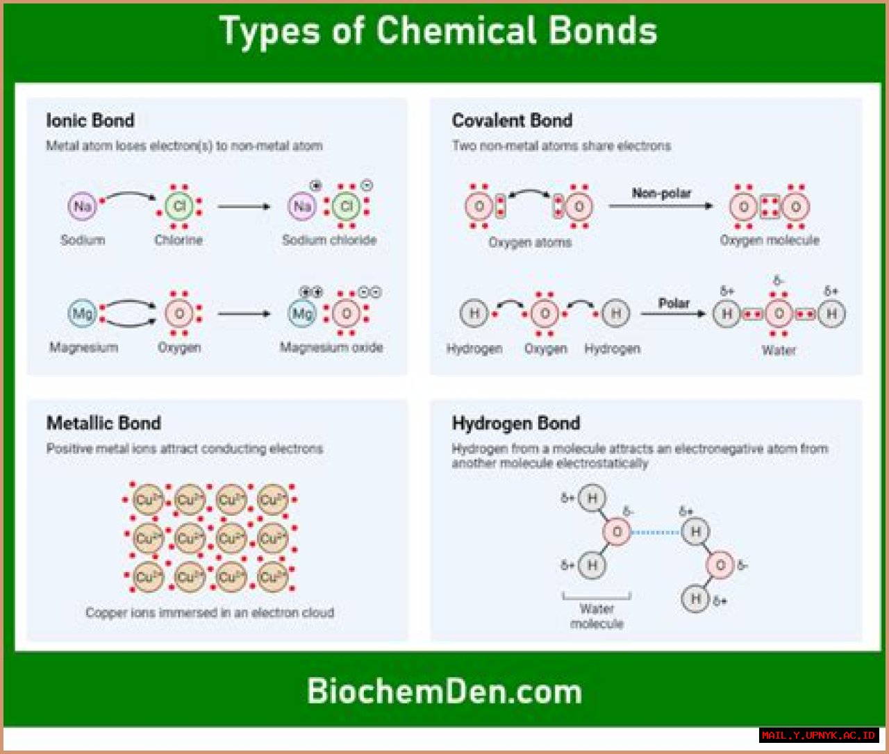 Disclosing The Types Of Chemical Bonds Essential For DNA Stability