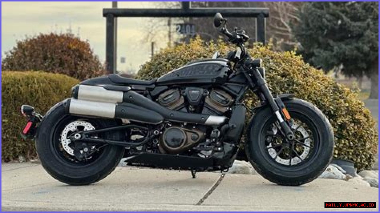 Discover The Truth Behind Davido's Height