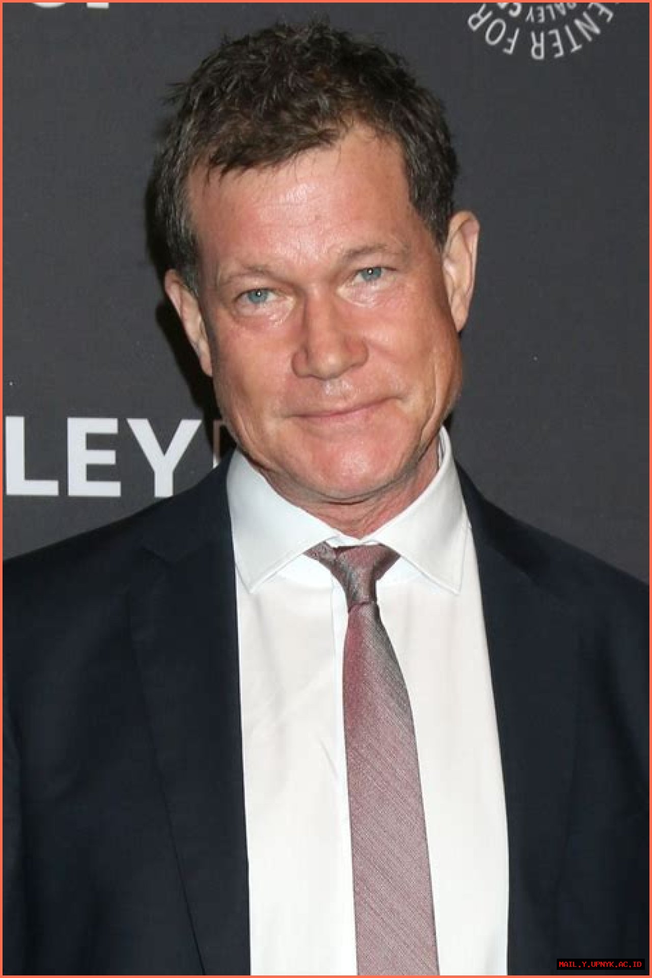 Dylan Walsh: A Journey Through Movies And TV Shows