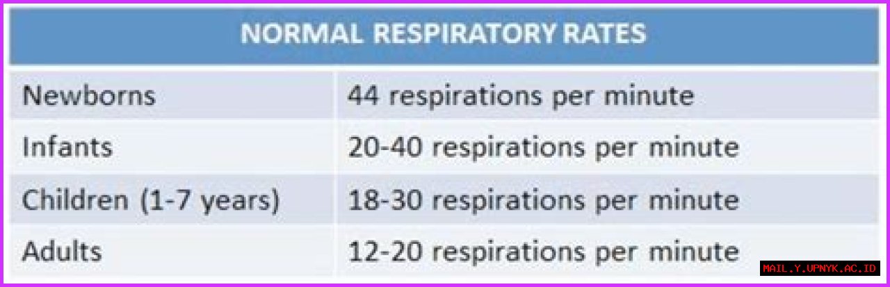 Explore Normal Breathing Rates For Newborns: Essential Guide