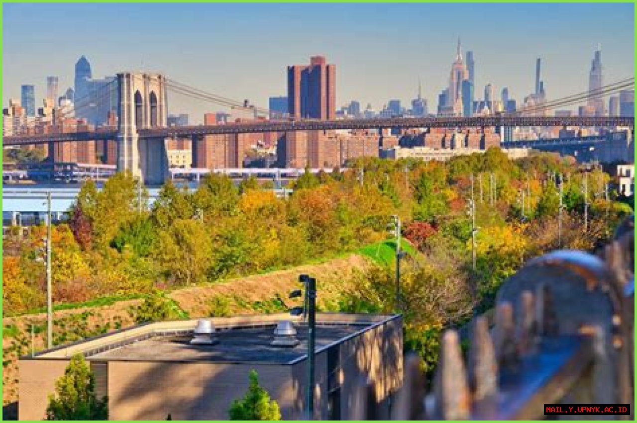 Exploring The Brooklyn Heights Home Of Actor Adam Driver