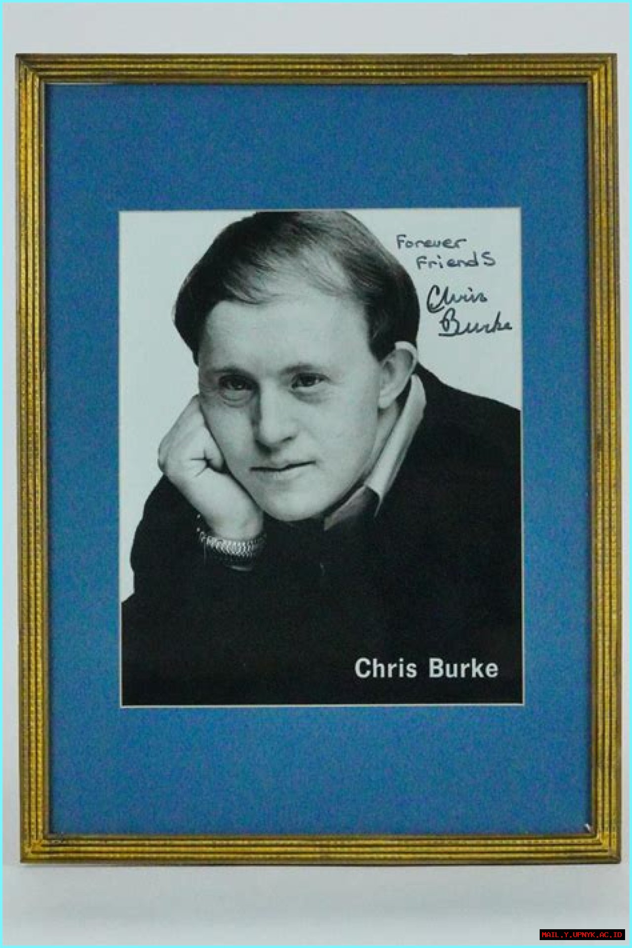 Exploring The Life And Career Of Chris Burke, The Actor Who Captivated Hearts