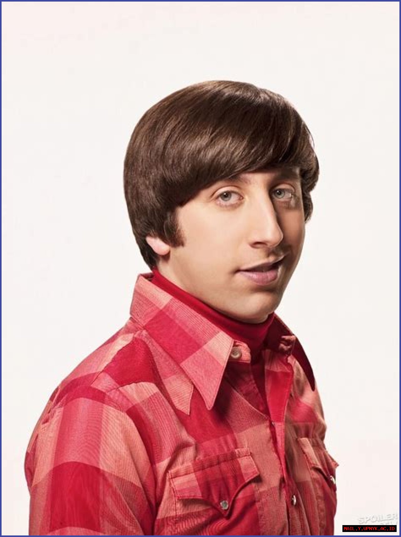 Exploring Wolowitz On Big Bang Theory: The Quirky Genius Of Howard Wolowitz