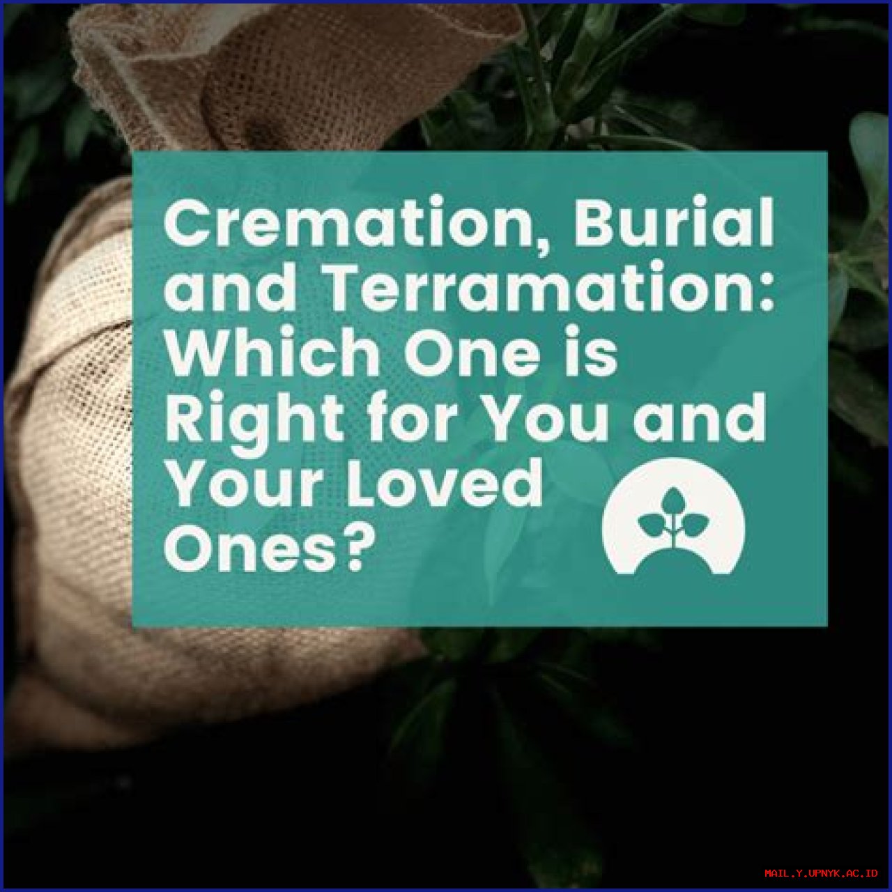 Find Your Loved Ones At Rest: Ontario Grave Locator