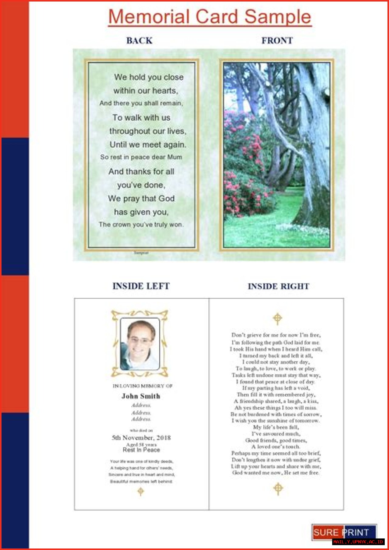 In Loving Memory: Rodie Sanchez Obituary