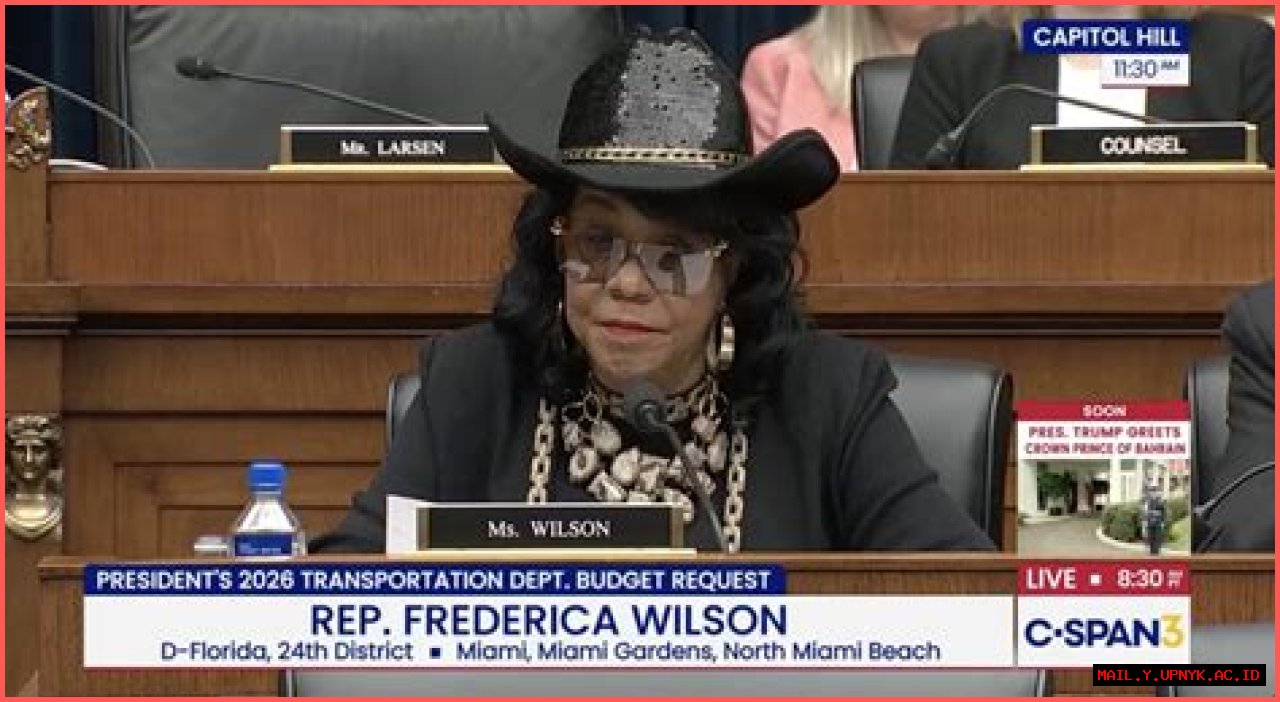 Meet Frederica Jacqueline Wilson, Your Champion In Politics