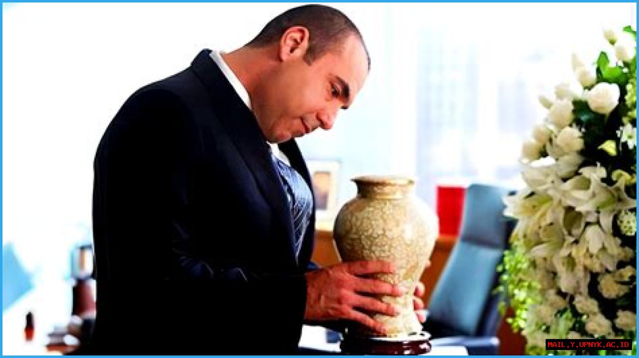 Meet The Mysterious Woman Who Captured Louis Litt's Heart In Suits