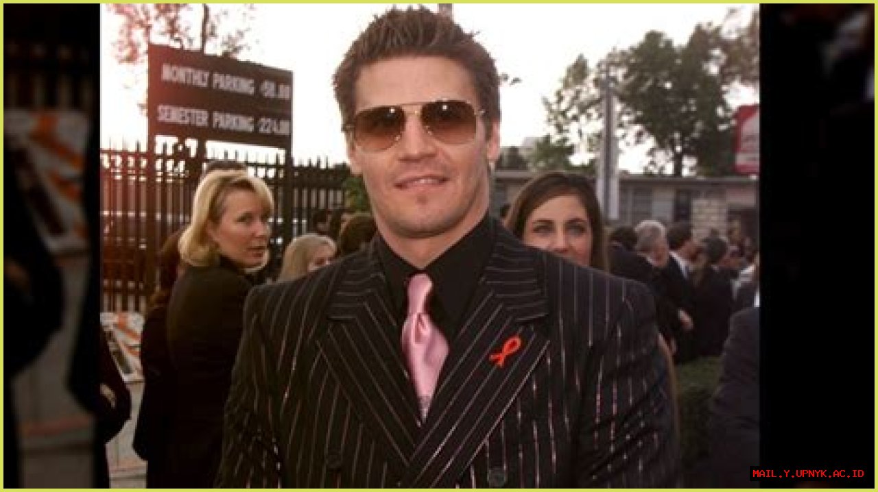 The Age Of David Boreanaz: Unveiling The Years