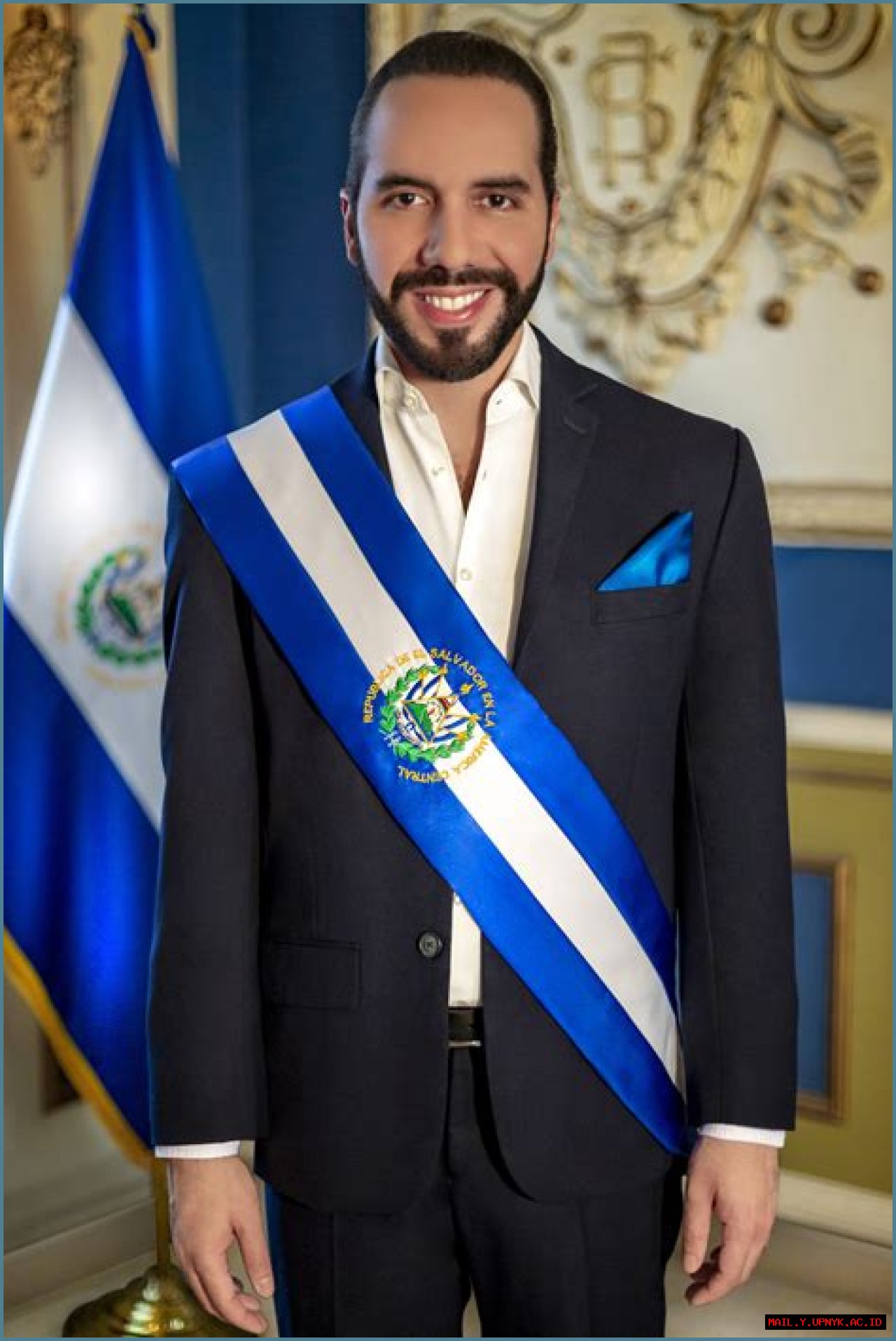 The Ultimate Guide To Armando Bukele Kattn: His Legacy And Impact