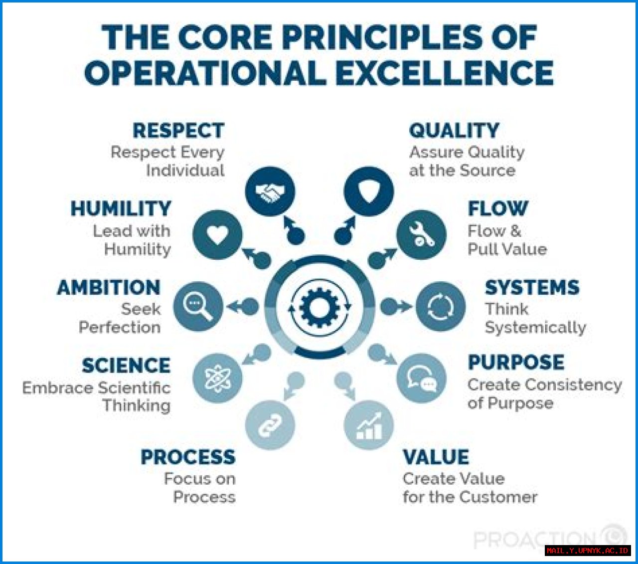 Uncovering Experience, Expertise, And Value