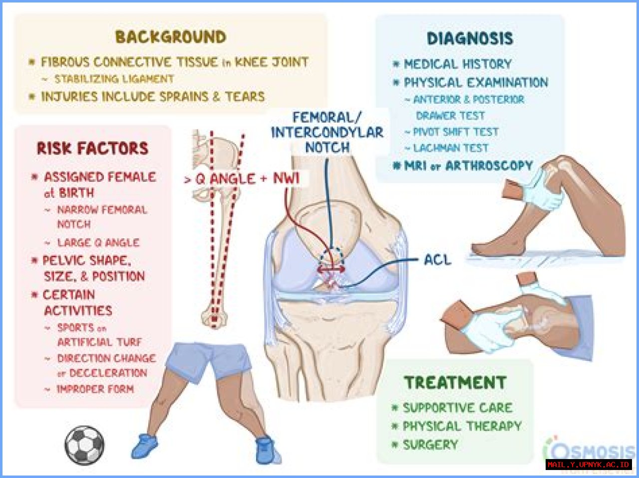 Understanding Fluid Buildup In The Knee: Causes, Symptoms, And Treatment Options
