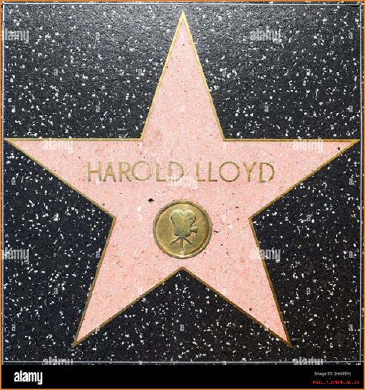 Unraveling The Mystery Of Harold Lloyd's Net Worth