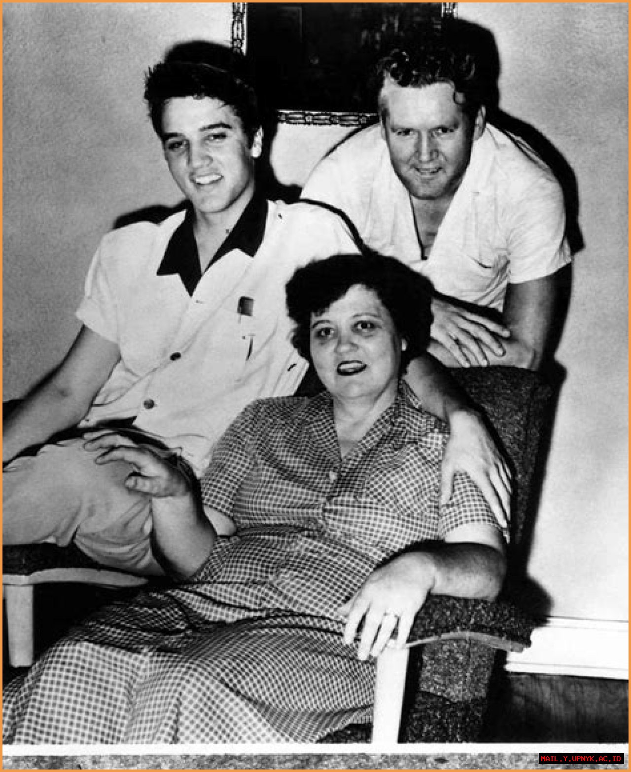 What Ultimately Took Elvis Presley's Mother's Life?