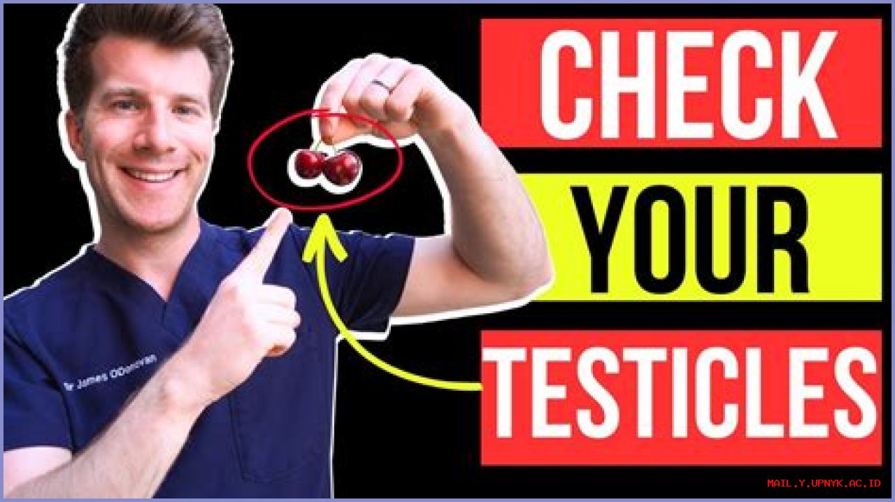 Why Do My Testicles Feel Cold To The Touch?